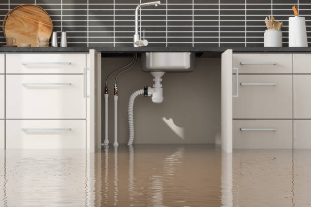 Best Fire Damage Restoration  in , CA