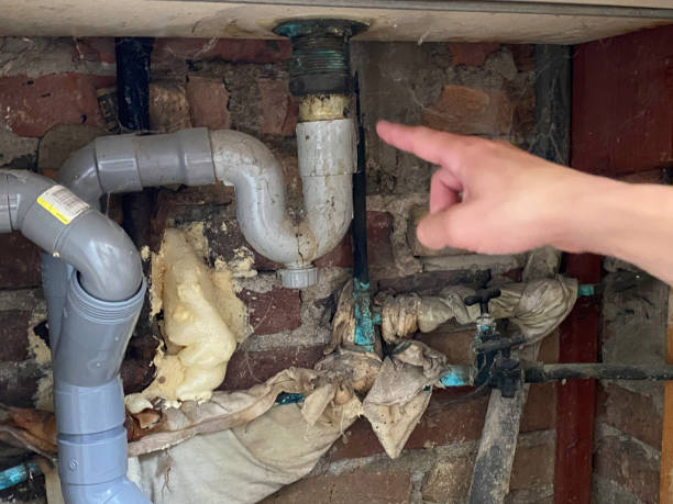 Best Water damage restoration process  in , CA