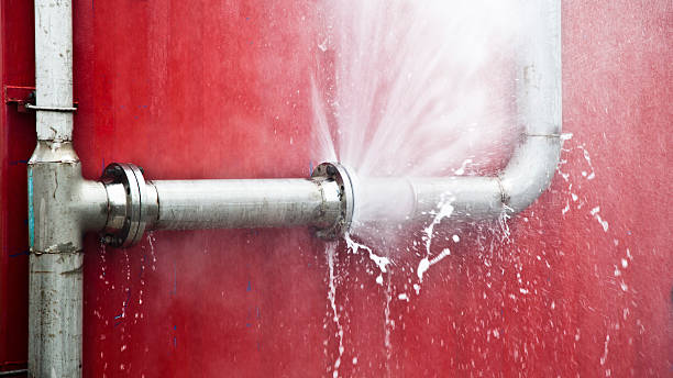 Best Water damage cleanup near me  in , CA